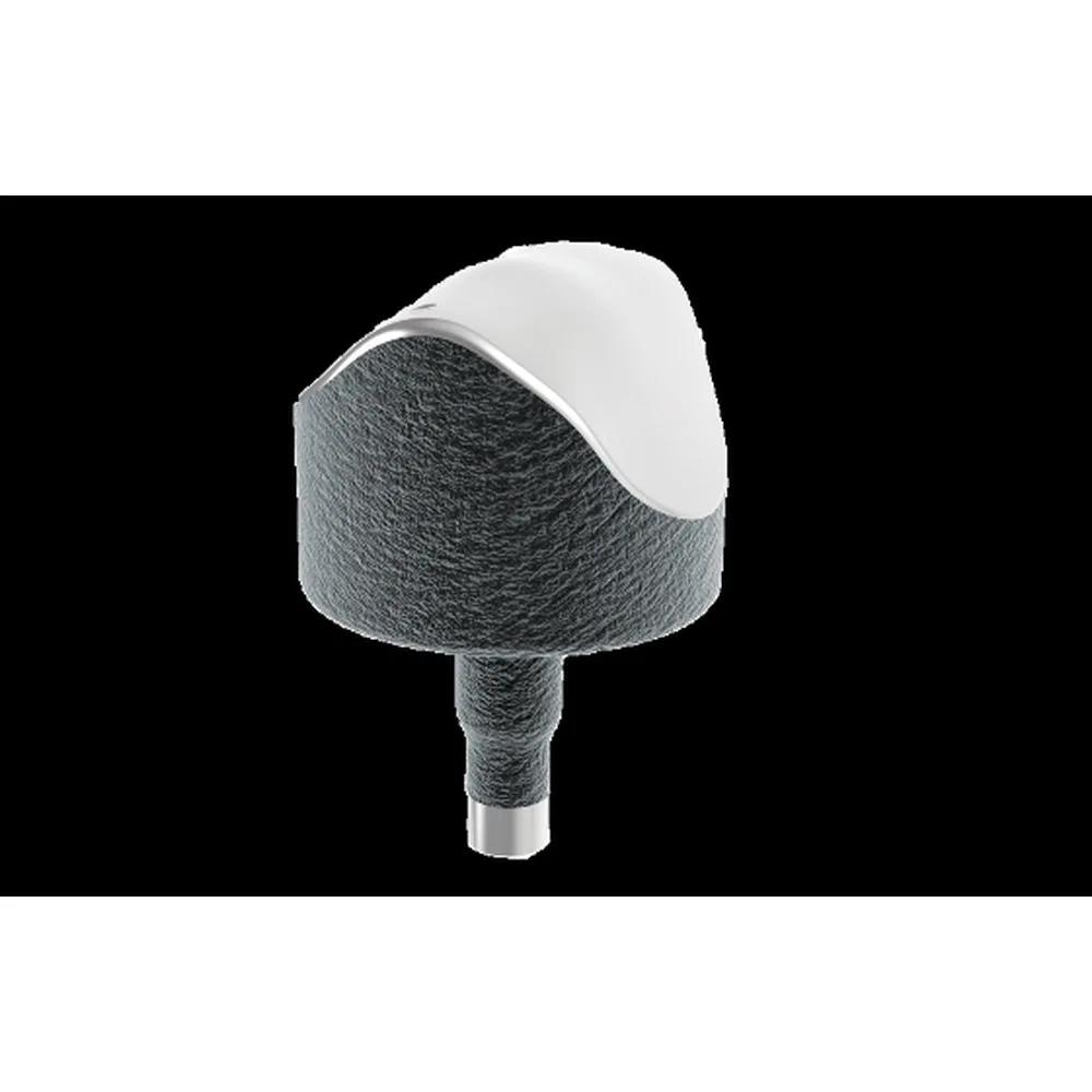 Episealer Talus