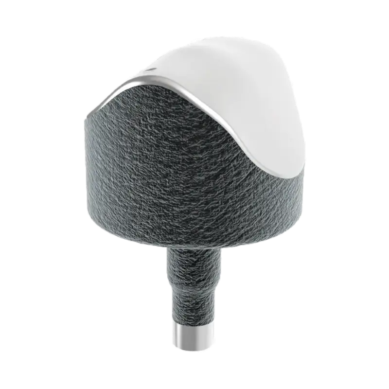 Episealer Talus, Abbildung 1